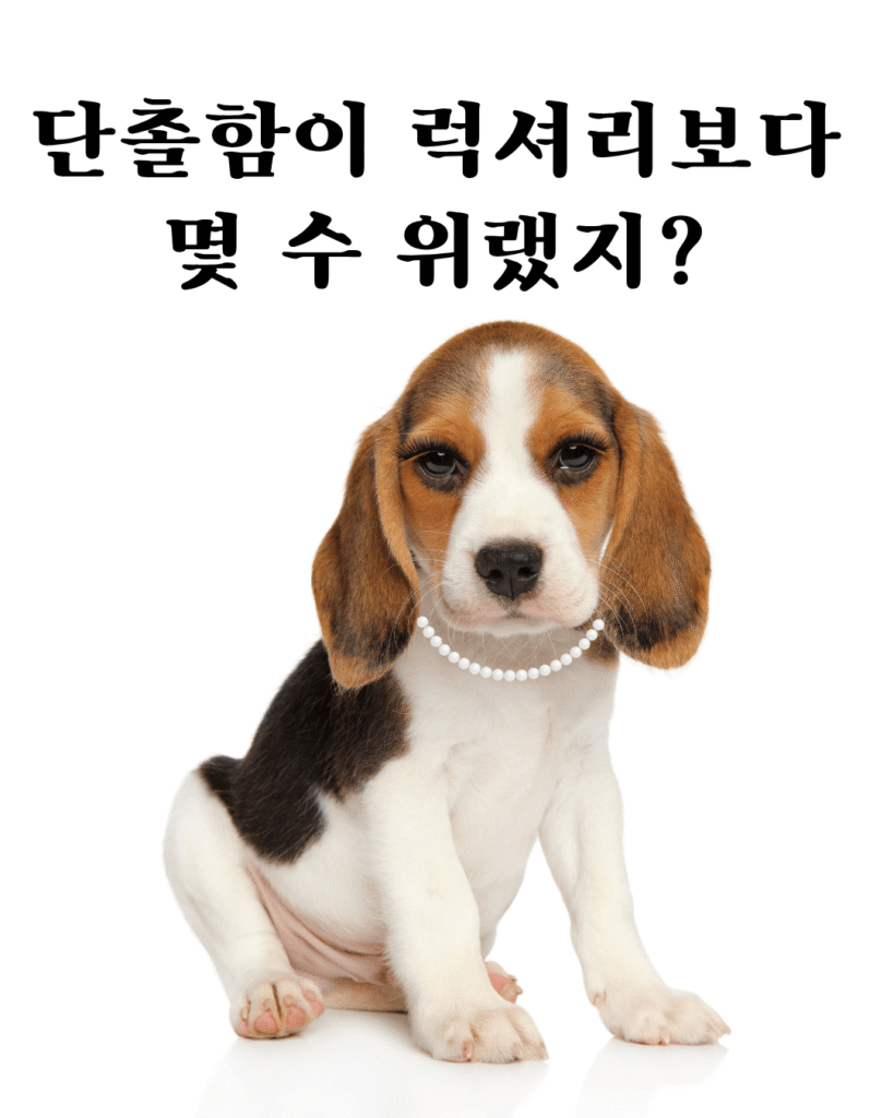 물건 애착 정리 장애 극복하여 단촐함을 갖추자