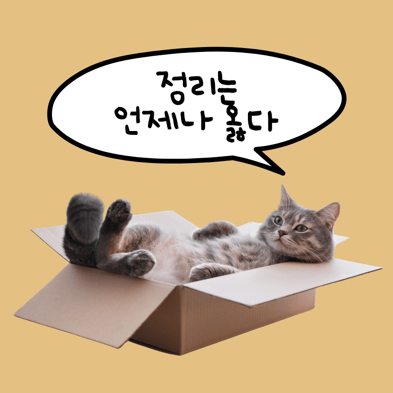 불필요한 물건 정리를 강조하는 정리는 언제나 옳다